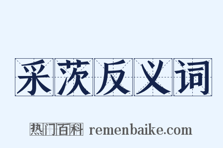 采茨反义词是什么意思的图片